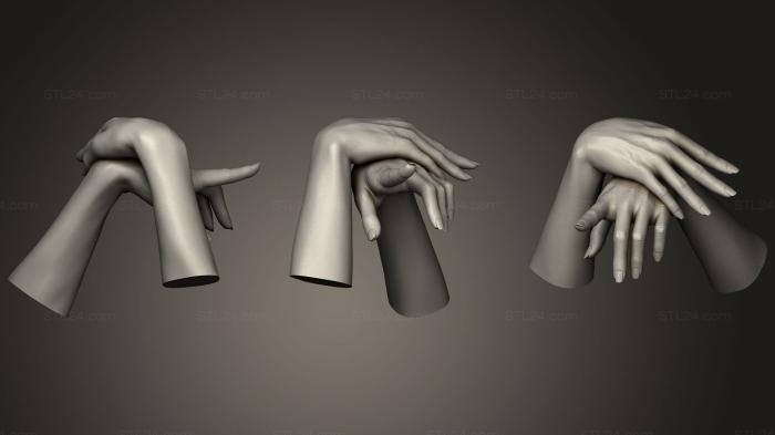 Anatomy of skeletons and skulls (Female Hands 590, ANTM_0492) 3D models for cnc
